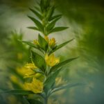 Chaos Engineering Explained for Modern DevOps Teams