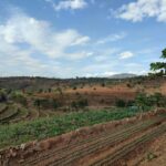 Best CRM Software for Irrigation Service Companies in 2026