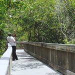 Fire Damage Restoration Text Reminders