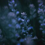 Secrets Management for Developers Stop Hardcoding Credentials