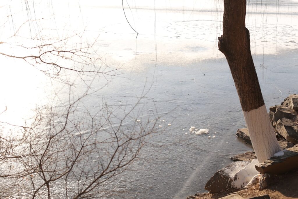 Local SEO Checklist for Water Damage Restoration Companies